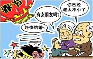闪婚租个男友回家过年