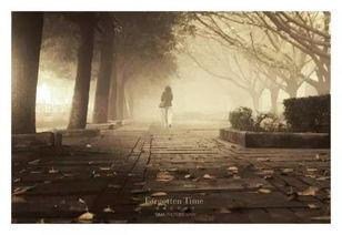 被遗忘的时光,探寻被遗忘的往昔记忆